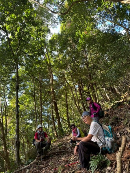 南庄鵝公髻山東河線2970567