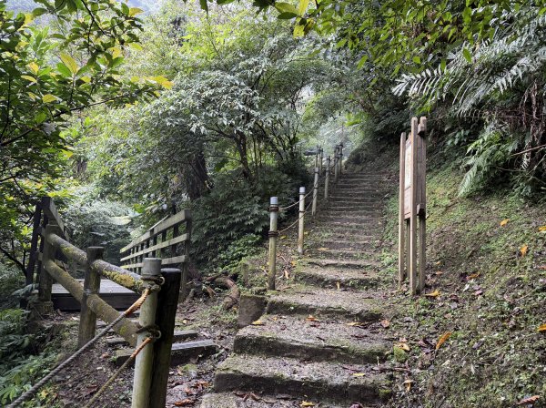 [微笑山線_第四段] 2026_0321 天上山系_天上山3020970