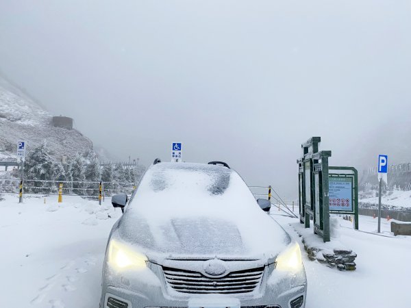 合歡銀白北國風情追雪趣 20211111235466