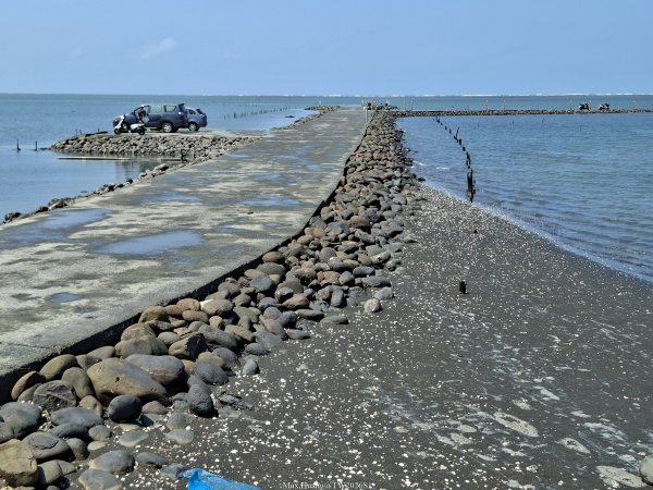《彰化》海中步道｜漢寶濕地芳苑濕地健行賞鳥202603153016759