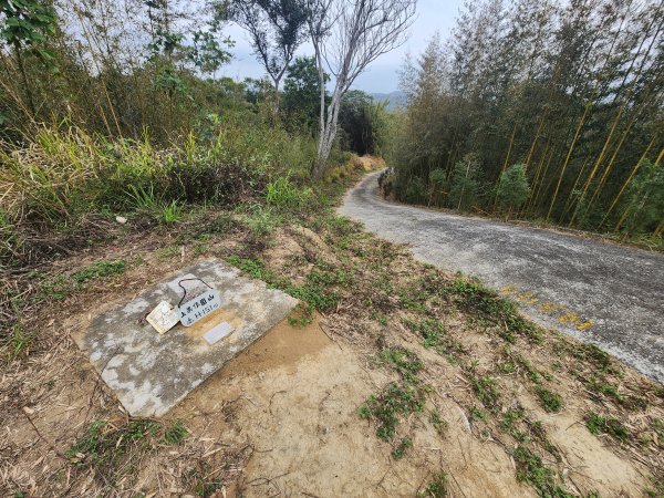 20260224雞隆山、八角林山、上果作園山3023639