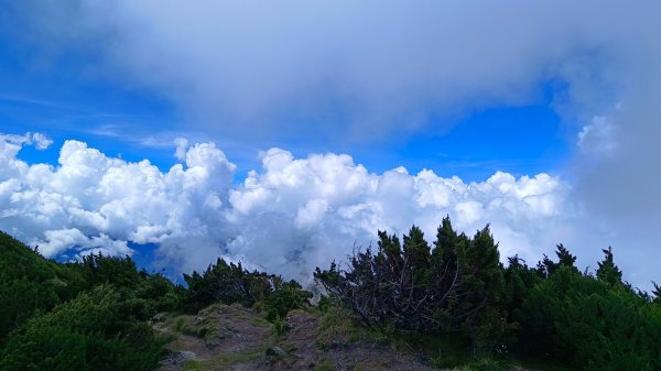 南橫F4之關山/庫哈諾辛山1747996