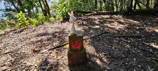 2025/12/06-光高天+南大龜+向天湖+三角湖山2957689