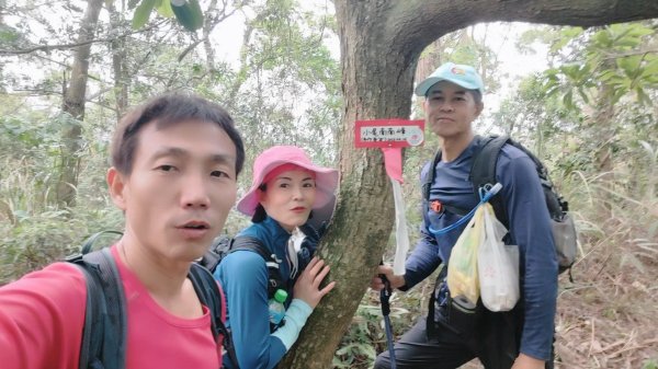 飛沙縱走33連峰2025年4月13日2760436