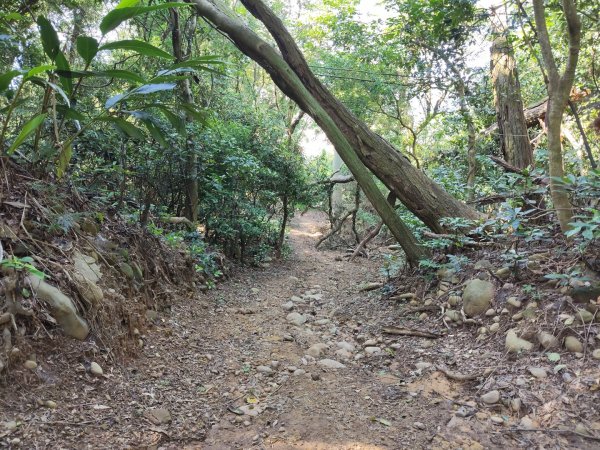 文山步道2848747