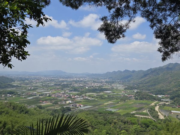 雙溪樹木園>九芎山>九茶山來回2772128