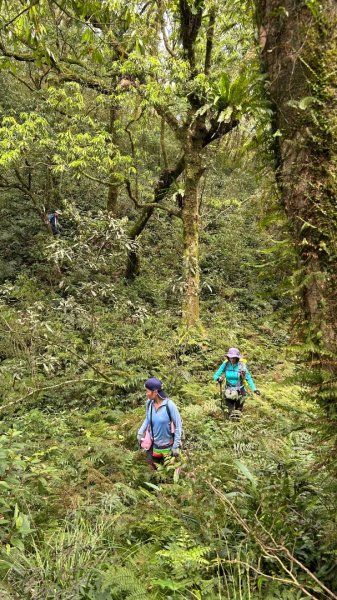 大同九分山/九份山3027609