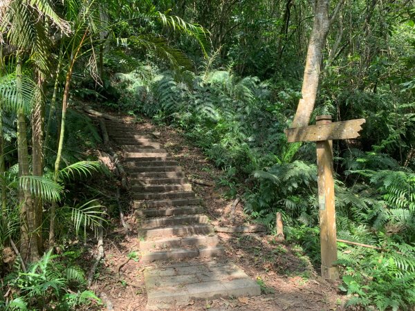 大崙頭尾山親山步道2767178