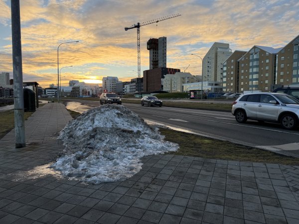 [紐約馬之行-17] 2025_1104 太陽航海者(Sun Voyager)2945736