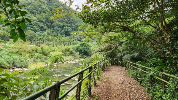 抹茶山，聖母登山步道，隆隆山，福卯古道，水柳腳登山步道，觀音台步道，北勢溪自行車道2340567