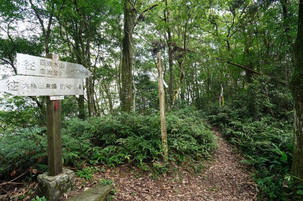 新北 烏來 烏來山、大桶山、四崁水山2829262