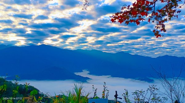 二訪馬拉邦山，解鎖 #琉璃光雲海 #日出雲海  #血月 #斜射光 #楓葉紅了！2668630