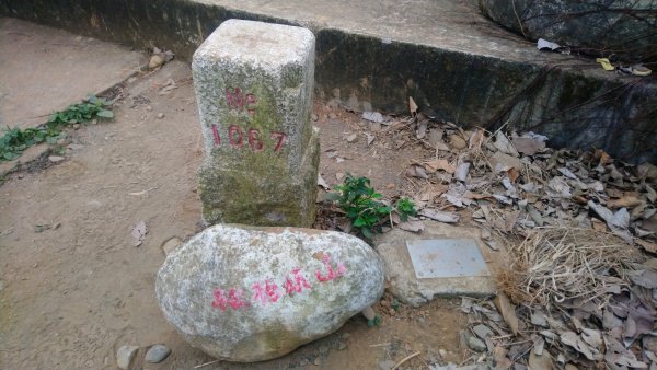 連走松柏坑山和橫山小百岳1555561