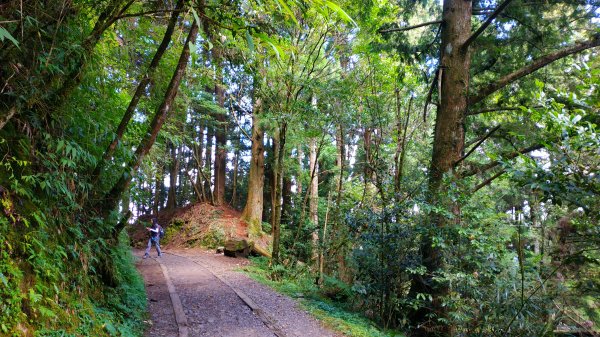 山林美境尋寶石特富野古道202009031090787