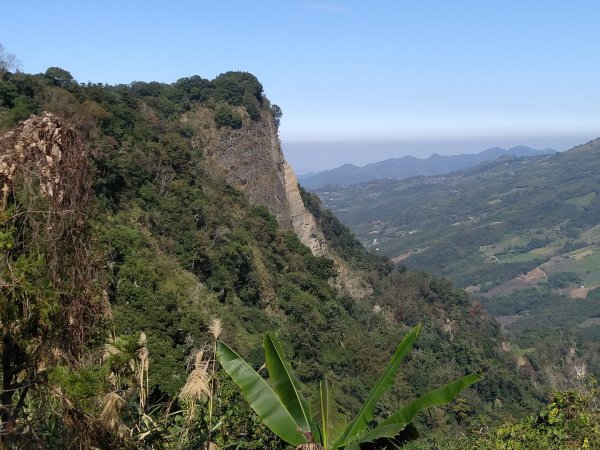 苗栗 泰安 馬那邦山、細道邦山1960841