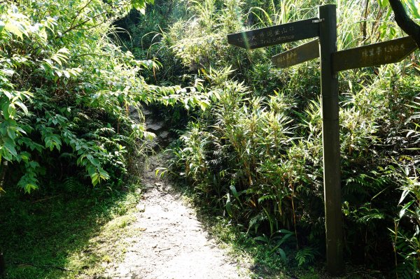 新北 平溪 頂子寮山、五分山3043975