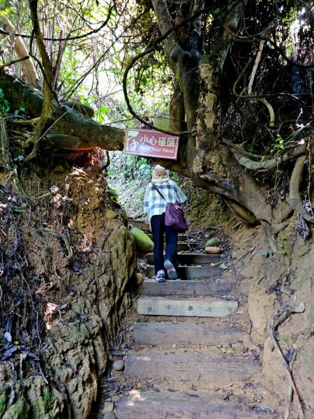 龍過脈森林步道-(雲林)臺灣百大必訪步道2661232