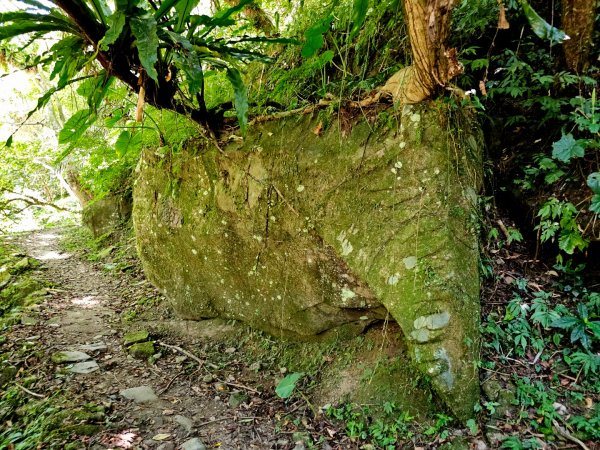 灣潭古道(淡蘭中路)-新北市雙溪區2882674