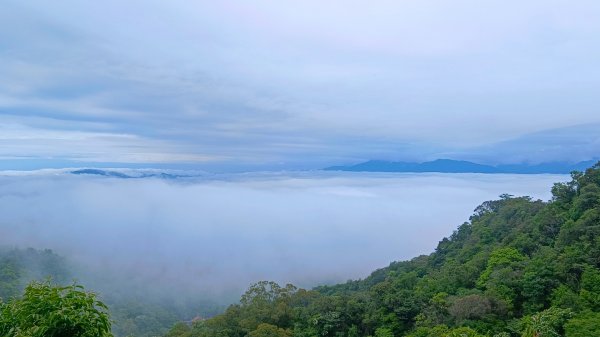 大坑頭嵙山出大景（山嵐海）2144654