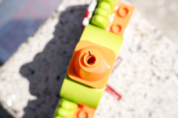 貓囒山小百岳2885012