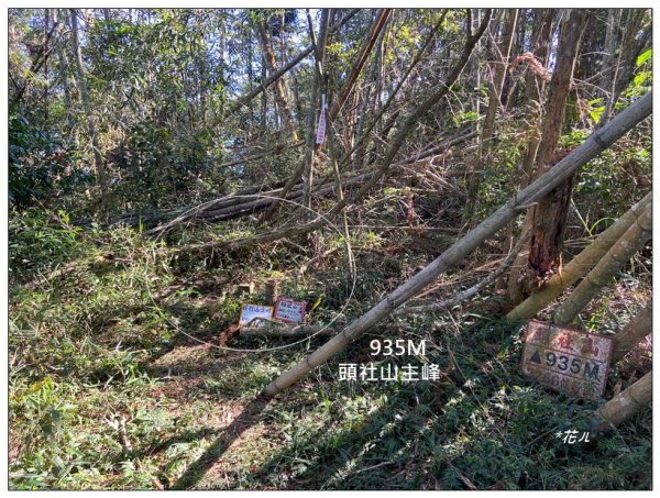 頭社山主峰及基點峰(社頭山)2681588