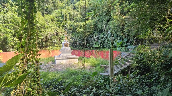 20251003高麗坑山-新高麗坑山-高麗坑山西北峰2903132