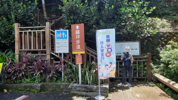 《新竹》青青石階｜娥眉藤坪步道及萬佛庵步道202509132883880