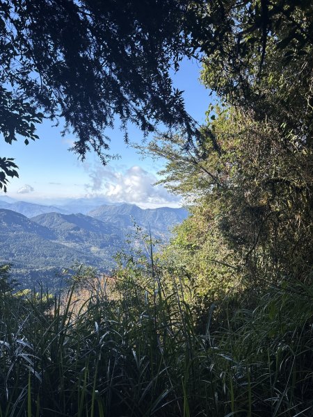 20251225塔山步道(大塔山)2970378