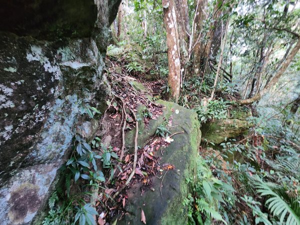 20251214石牛山柑坪山新柑坪山牛背岩2972720