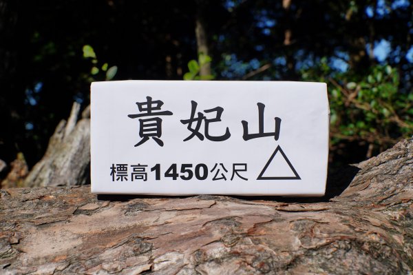 新竹 尖石 貴妃山、那結山2913601