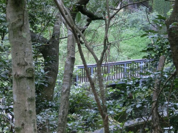 富陽生態公園．福州山106602