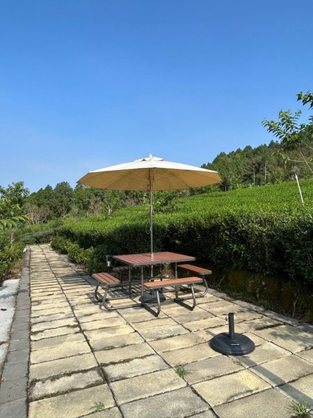 ［竹山］山坪頂茶山七星步道2909670