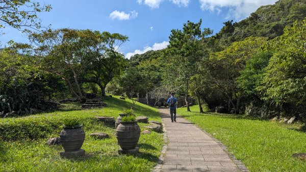 114.11.09草嶺古道芒花季之旅2932945