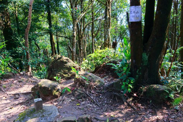 猴山岳。二格山。小獅山連走616098