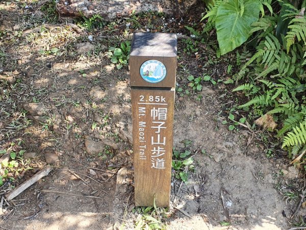 帽子山步道1237731