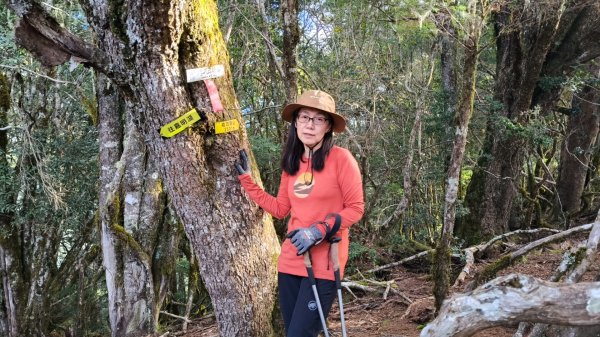 新康五天~戒茂斯進，出瓦拉米2949608