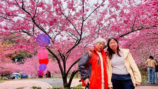 🌈3/1（日）福壽山農場~千櫻園✨FB：熊熊趴爬走🌈3008550