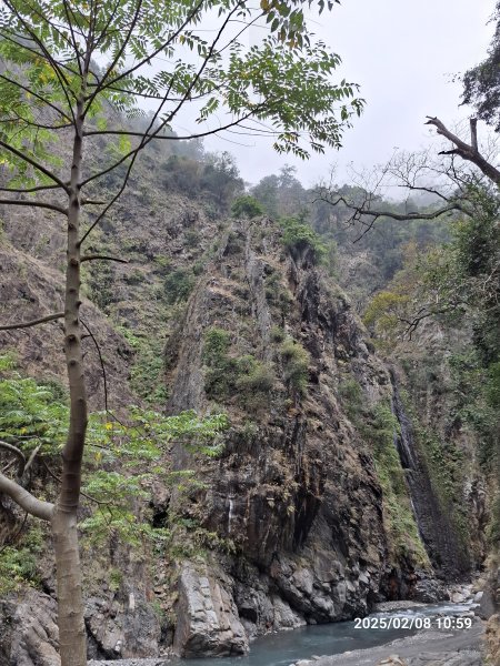 2025.02.08 限時秘境?菜市場? 北港溪峽谷步道2709033