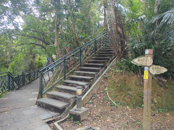 2025.12.14－微笑山線：【二格山系】和美山螢火蟲段2966245