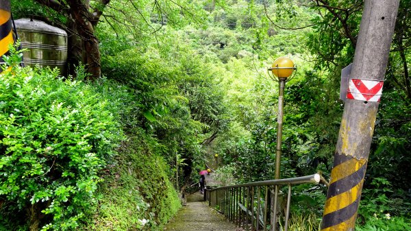 樹梅古道,不二法門2240003