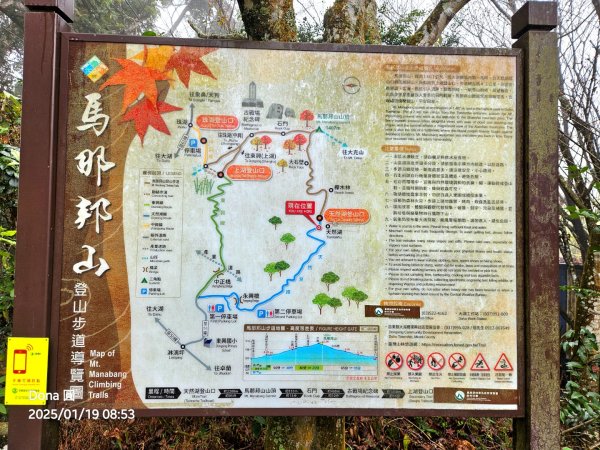 20250119小百岳馬那邦山(H1407m)加碼採草莓2694640