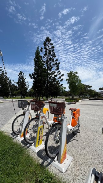 綠衫林公園2800887