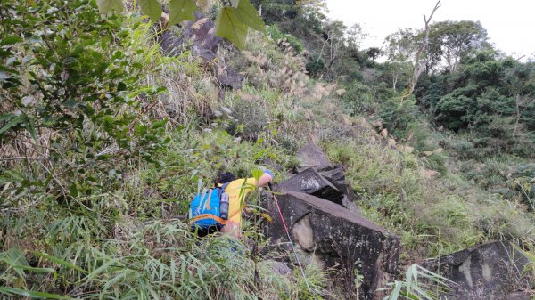 鞍輪名山(藤苞山)O型大竹溪山 (玩命關頭不建議來爬) 2023年12月24日2386375