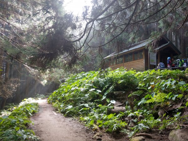 台版富士山「加里山」(小百岳#34) 2020/12/191424802