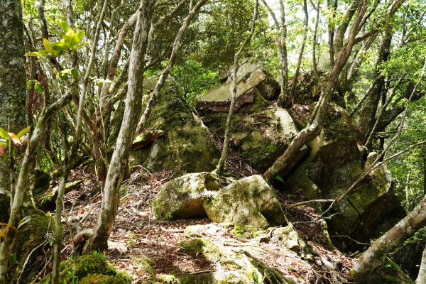 新竹 五峰 油羅山、霞山2798279