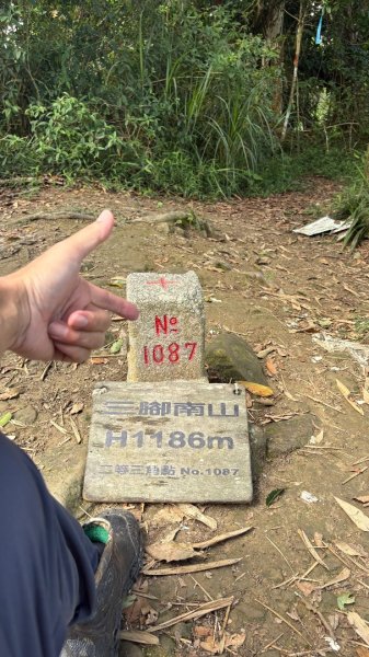 三腳南山2799599