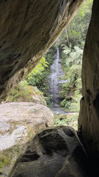 戲水（鴛鴦2786697