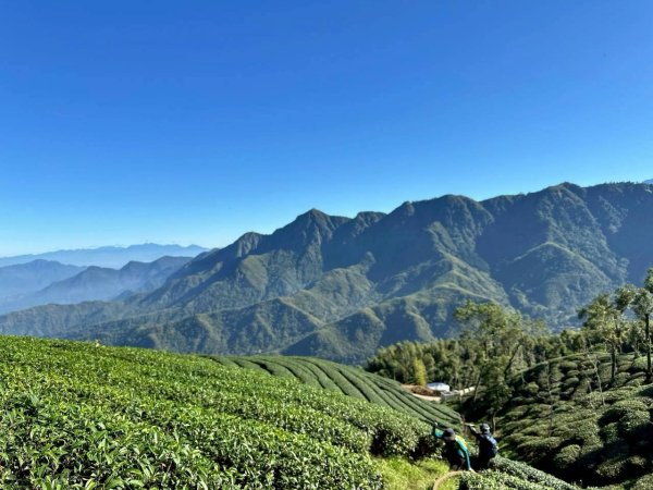 20251117樟空崙步道挑竹古道3號 六連峰O繞2939632