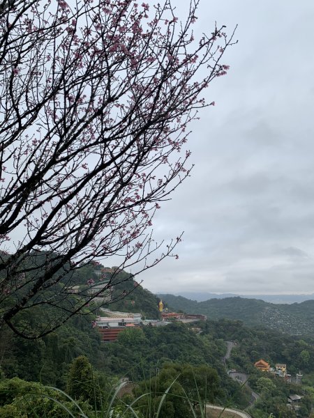 20260321烘爐地（南勢角山）3045189