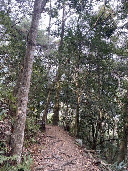 馬崙山11202103059267